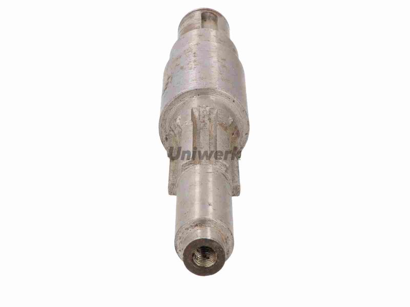 ARBORE INTRARE MPSP-6.19                          