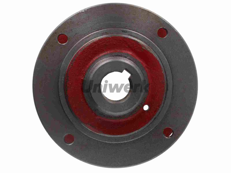 BUTUC MIJLOC  COSITOARE