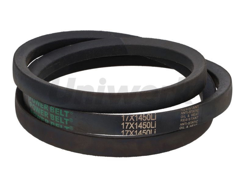CUREA 17X1450 LI P BELT