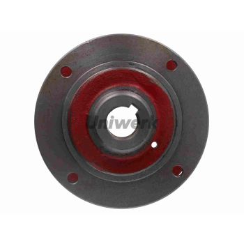 BUTUC MIJLOC  COSITOARE