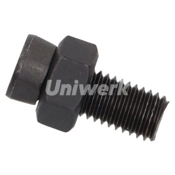 SURUB PLUG 12X36X12.9